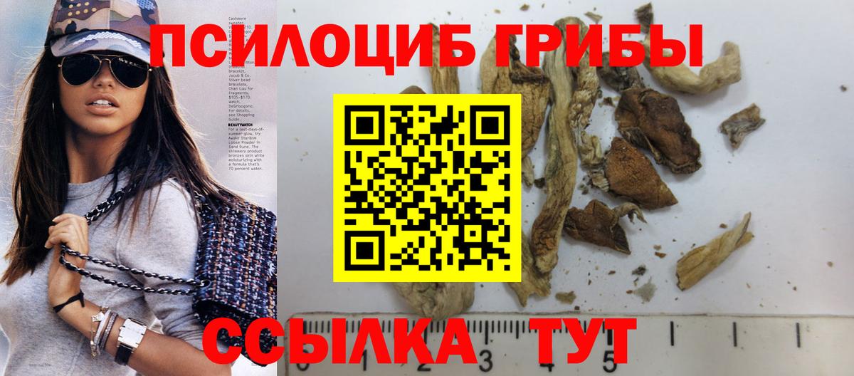 Псилоцибиновые грибы прущие грибы Джанкой